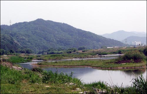 도심 속 생태계의 보고로 알려진 대전 월평공원. 